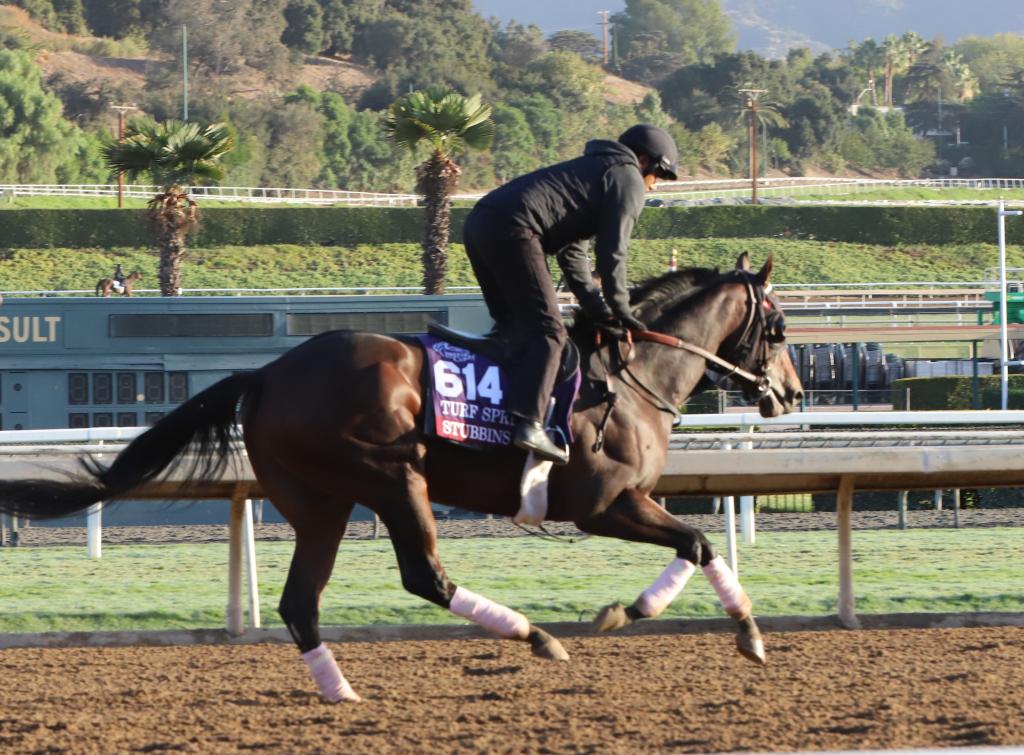 Stubbins takes a spin around the track. (Julie June Stewart photo)